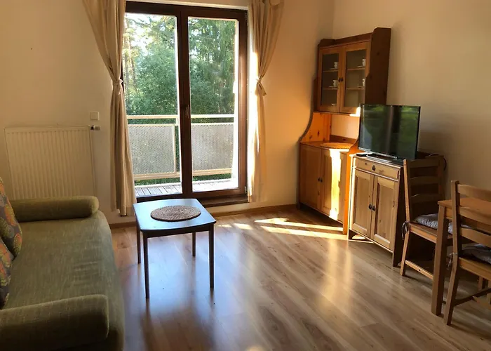 Lipno Bouček Apartamento *